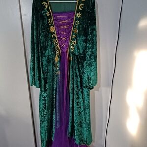Green and Purple Velvet Robe with Gold Accents